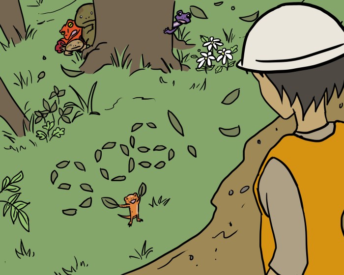 S.O.S! Save Our Salamanders